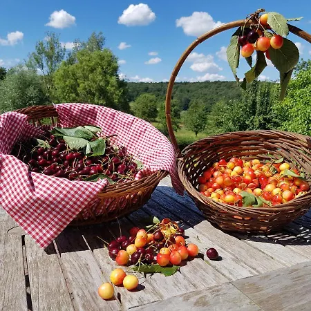 Appartement Buitenverblijf 't Herfse - Schilderachtig Uitzicht! Malines