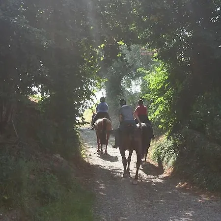 Buitenverblijf 't Herfse - Schilderachtig Uitzicht! Malines