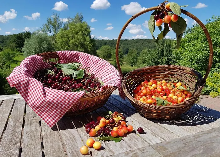 Apartment Buitenverblijf 't Herfse Mechelen